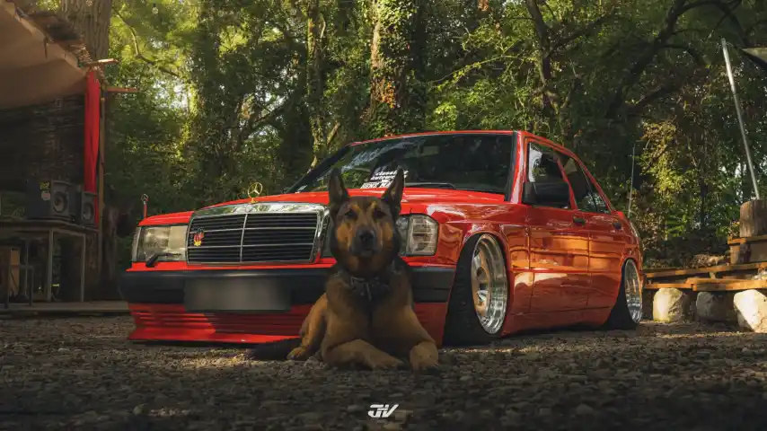 190 W201 Bagged