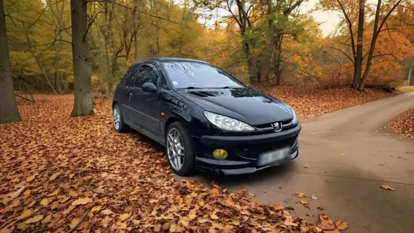 Peugeot 206 | daily