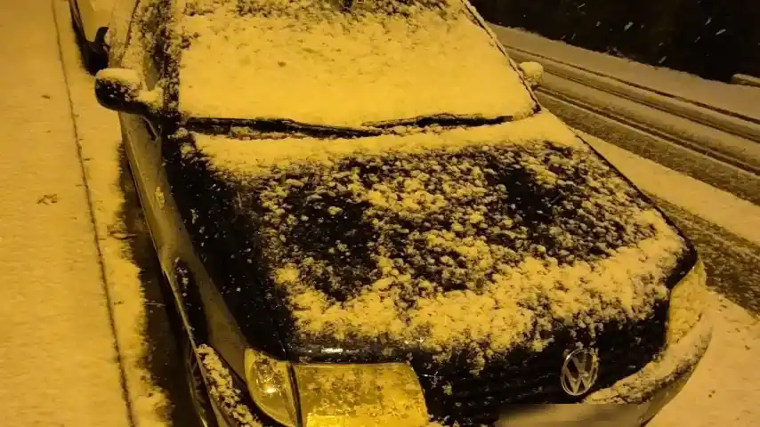 Polo 6n2